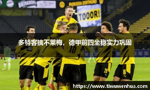 多特客擒不莱梅，德甲前四坐稳实力巩固