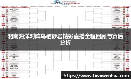 湘南海洋对阵鸟栖砂岩精彩直播全程回顾与赛后分析
