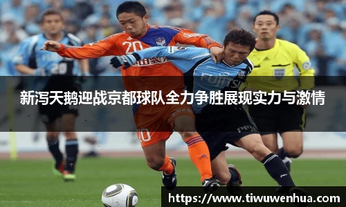 新泻天鹅迎战京都球队全力争胜展现实力与激情