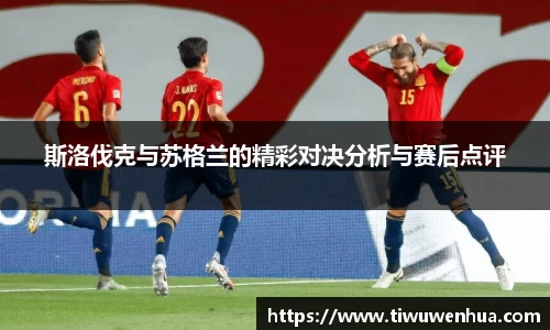 斯洛伐克与苏格兰的精彩对决分析与赛后点评