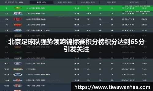 北京足球队强势领跑锦标赛积分榜积分达到65分引发关注
