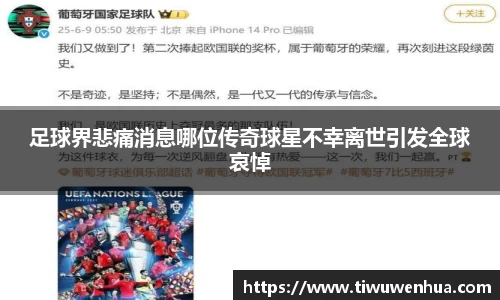 足球界悲痛消息哪位传奇球星不幸离世引发全球哀悼