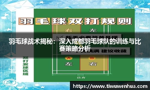 羽毛球战术揭秘：深入成都羽毛球队的训练与比赛策略分析