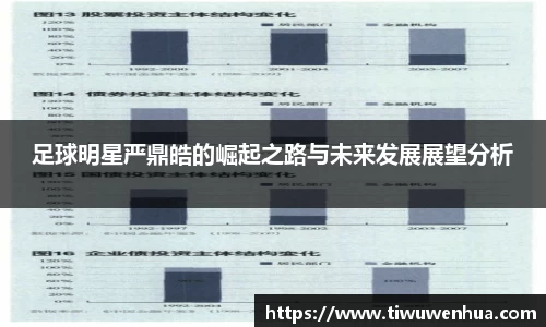 足球明星严鼎皓的崛起之路与未来发展展望分析